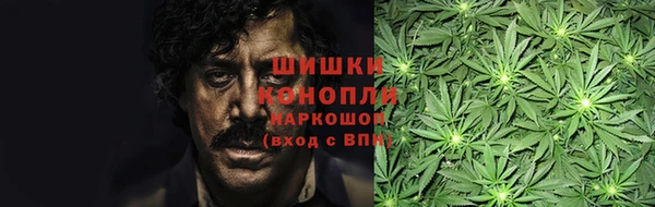 ешки Аркадак
