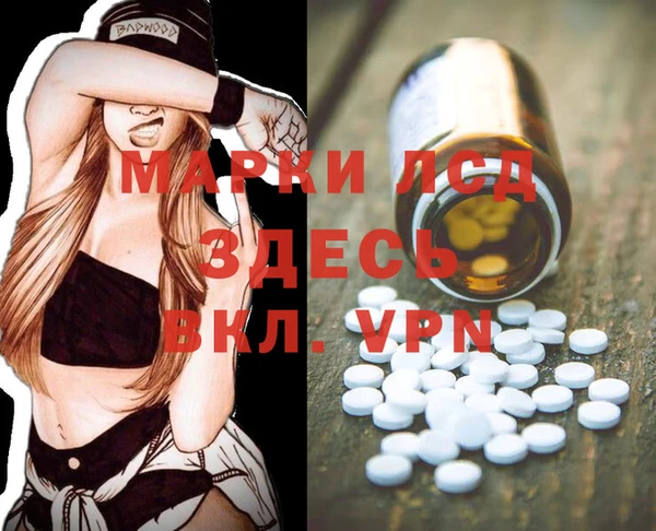 ешки Аркадак