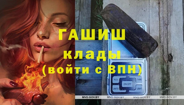ешки Аркадак