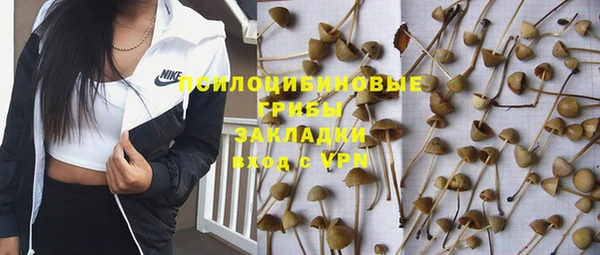 ешки Аркадак