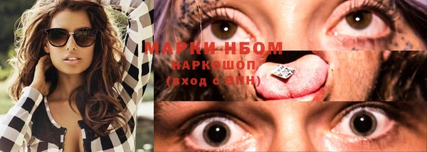 ешки Аркадак