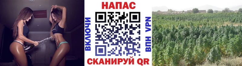 купить   Северо-Курильск  МАРИХУАНА тримм 